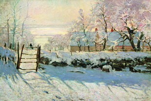 冬日乡村雪景静谧画面