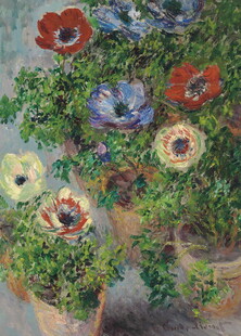 多彩盆栽花卉绽放生机