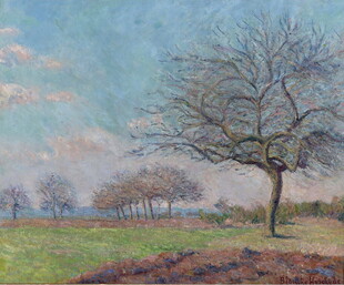 田野孤树风景油画