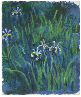蓝色鸢尾花的静谧景致