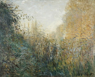 清晨林间风景油画
