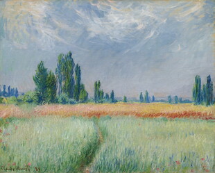 田野风景油画