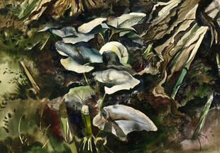 水彩画中的绿叶植物