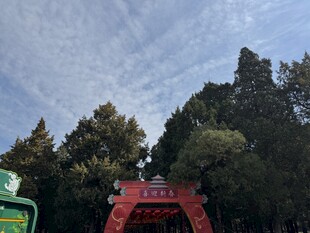 山林间的红色拱门景观