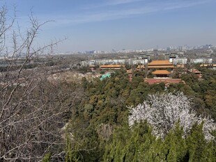 俯瞰故宫周边春日景致