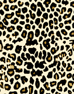 豹纹图案纹理背景图