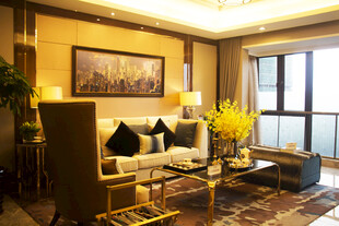 豪华客厅家居装饰展示