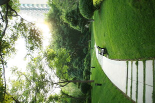 绿意盎然的户外休闲场景