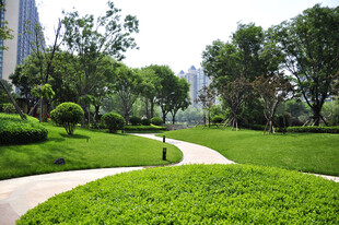 城市中的静谧绿意小径