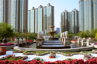 城市花园中的现代建筑景观