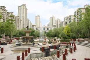 城市中的静谧休闲广场