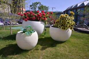 户外球形花盆景观