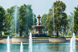 公园喷泉景观 绿树环绕