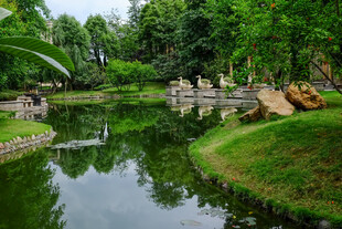 静谧园林池塘景致