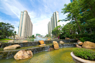 城市中的自然景观水景