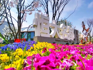 多彩花卉环绕的艺术景观