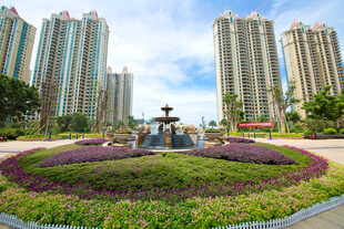 城市花园旁的高楼景观