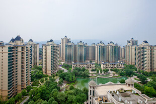 城市高楼与葱郁绿植景观