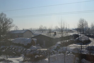 冬日乡村雪景