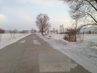 冬日雪覆小路静谧景象
