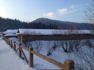 冬日雪中小径木栏美景