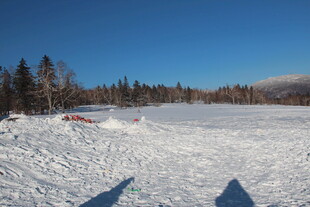 冬日雪地与远处树林景观