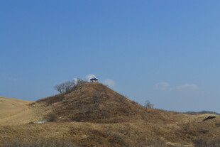 山丘上的孤独小屋