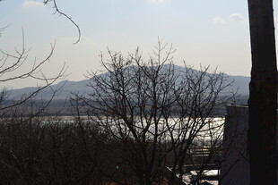 冬日山景与枯树景观