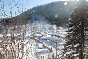 冬日雪景中的静谧山林