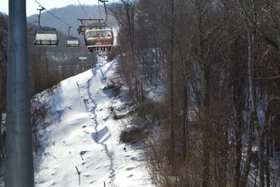冬日雪覆小径 山林景致