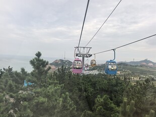 山间缆车穿梭于绿树之上