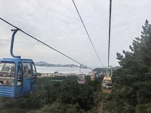 山间缆车穿梭于绿树间