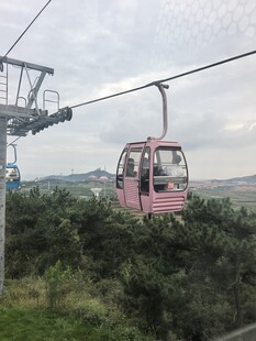 粉色缆车穿梭于绿意之间