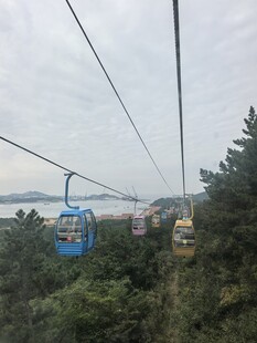 空中缆车穿梭于绿树间