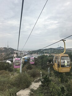 山间缆车穿梭于绿意中