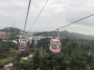 山间缆车穿梭于绿树间