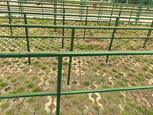 绿色金属围栏田野背景