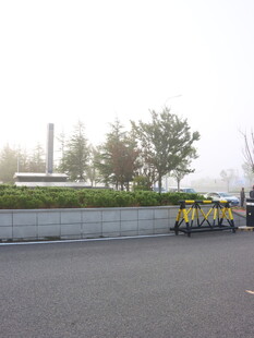 道路上的清洁作业场景