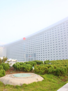 现代高楼旁的绿植景观