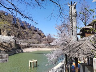 春日风景
