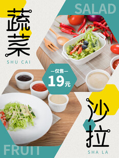 新鲜蔬菜沙拉仅售19元