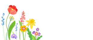 多彩花卉插画
