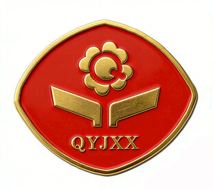 石家庄青园街小学