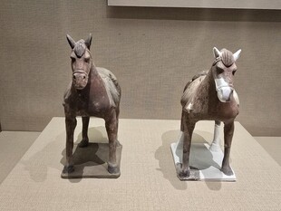 娄睿墓彩绘陶马