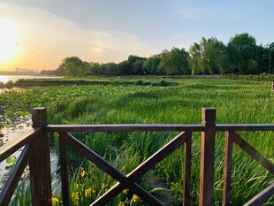 夕阳下的河畔木栏风景