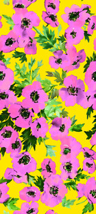 缤纷紫黄花朵绽放