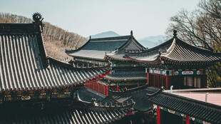 中式古建筑屋顶景观