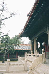 中式古建筑庭院景致