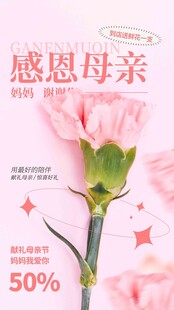 母亲节海报