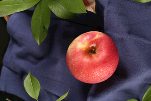 红苹果